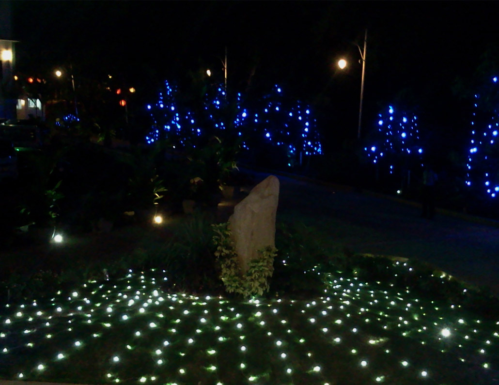 Decorative Lightings