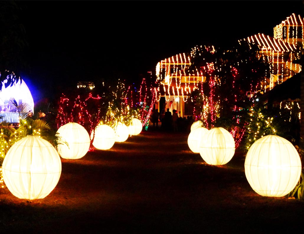 Decorative Lightings