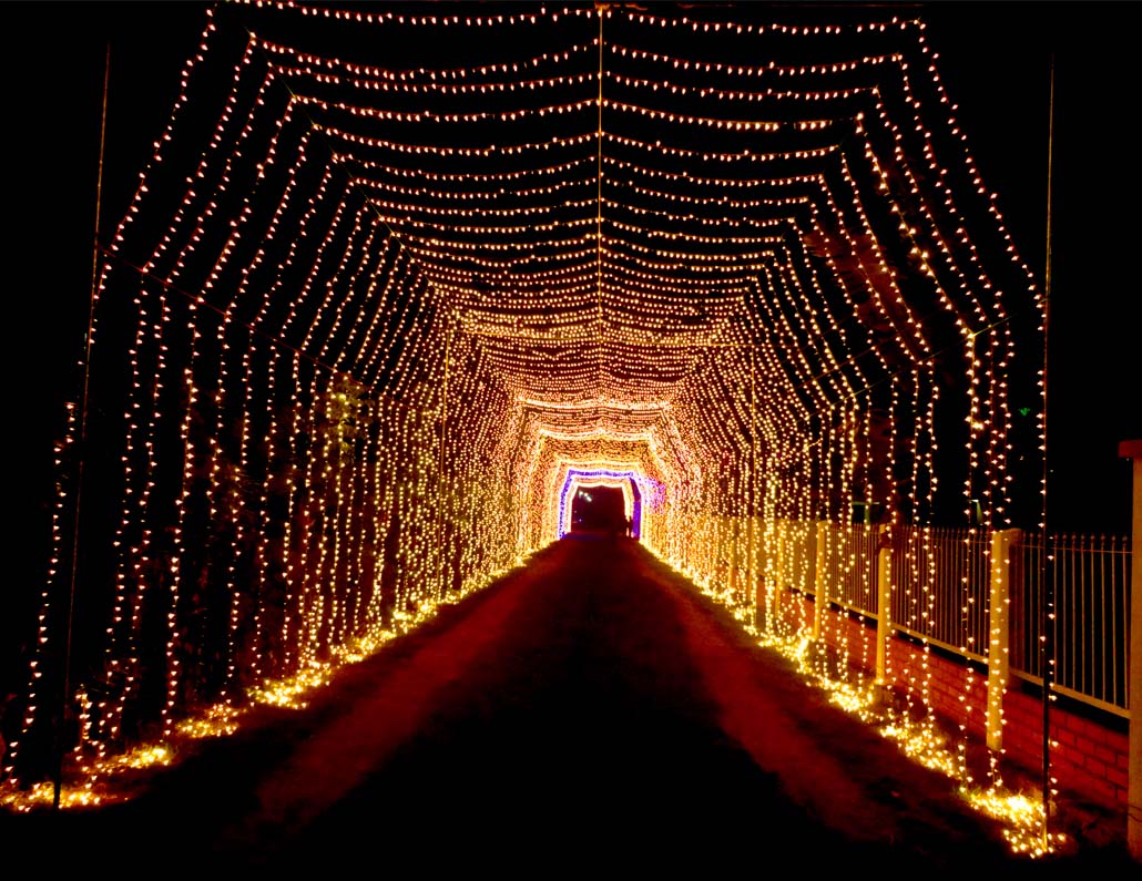 Decorative Lightings
