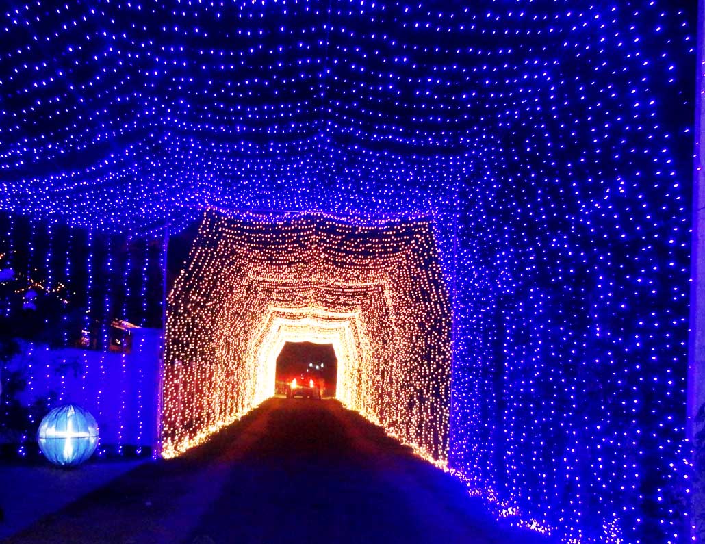 Decorative Lightings