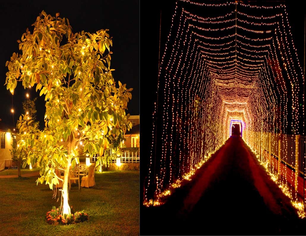 Decorative Lightings
