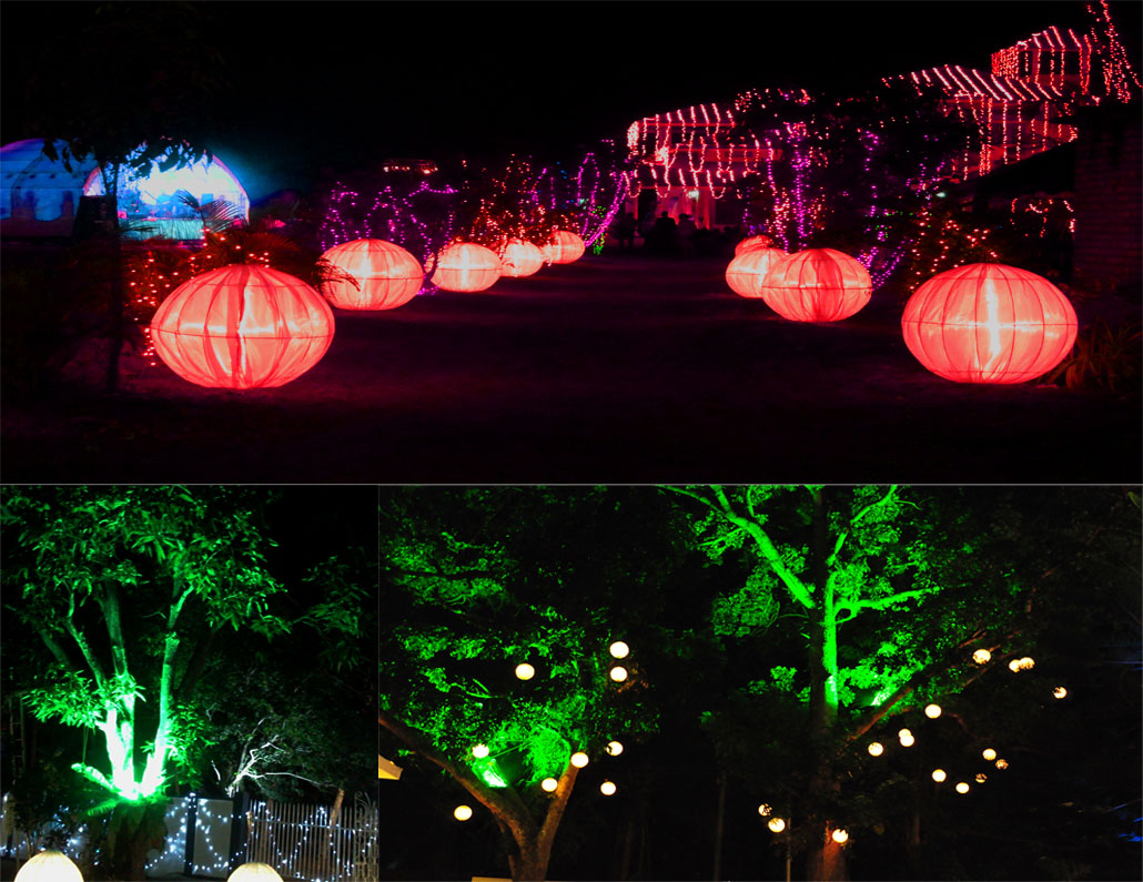 Decorative Lightings